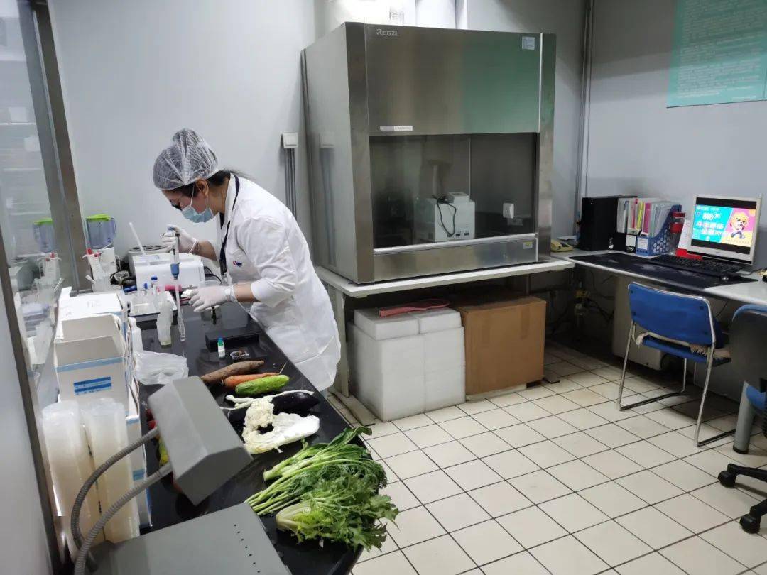 和田县食品检测实验室装修方案